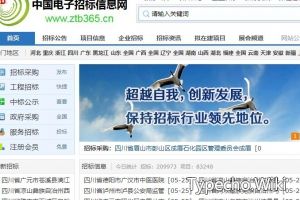 中国电子招标信息网